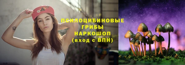 apvp Баксан