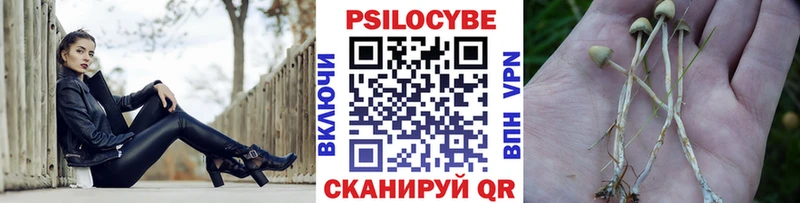 kraken вход  Кувшиново  Псилоцибиновые грибы Magic Shrooms 
