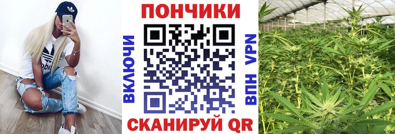 Шишки марихуана ГИДРОПОН  магазин    Кувшиново 